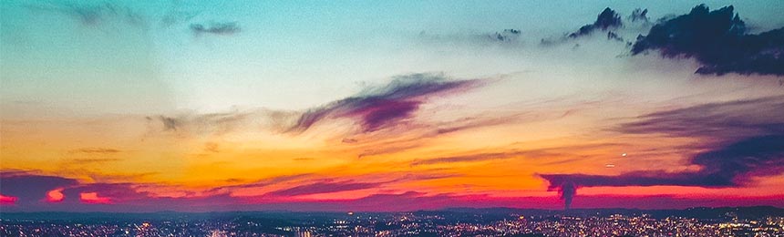 大丰茶虫网_大丰品茶